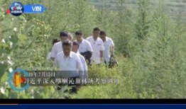 青草在线观看视频,探寻自然之美，共赏生态盛宴