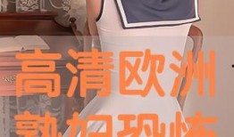 欧洲熟妇视频,探寻成熟魅力与生活智慧